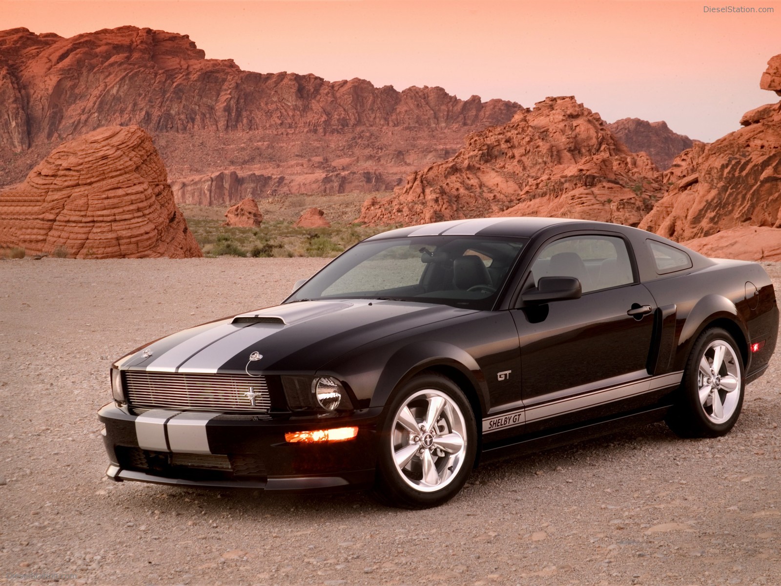 Ford Shelby GT